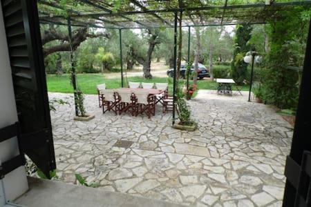 Theni Olive Grove Villa Kato Yerakarion Exterior photo