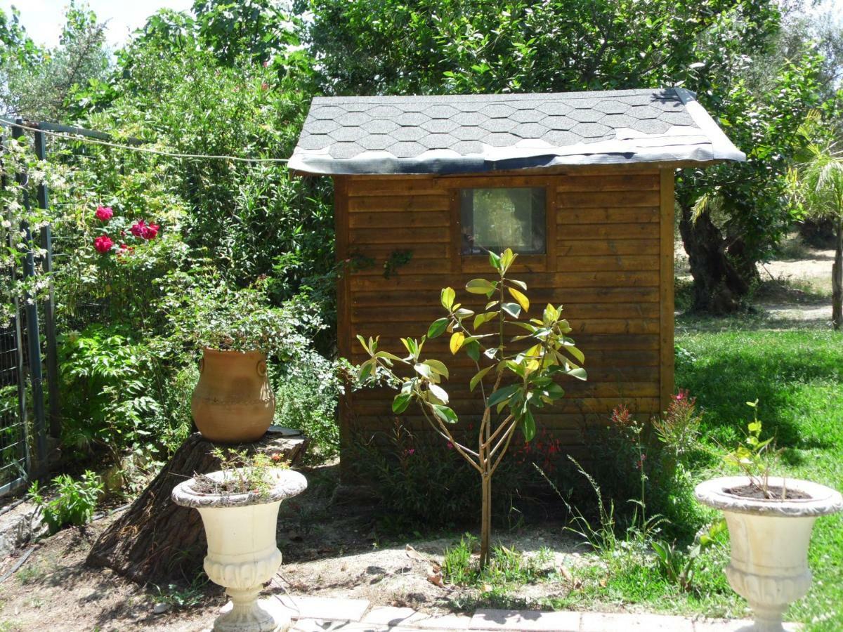 Theni Olive Grove Villa Kato Yerakarion Exterior photo