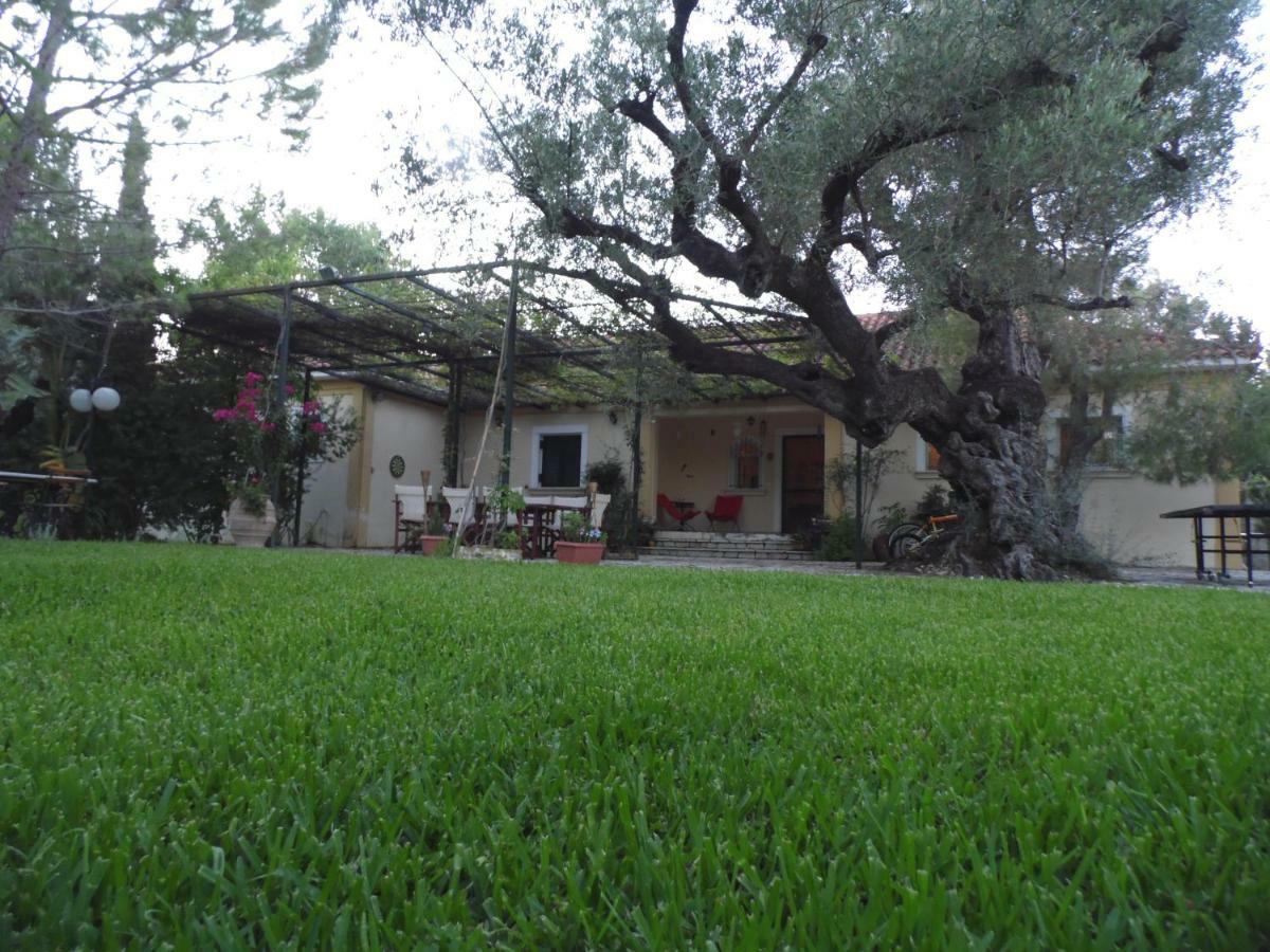 Theni Olive Grove Villa Kato Yerakarion Exterior photo